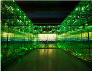 中國(guó)蟲(chóng)草博物館